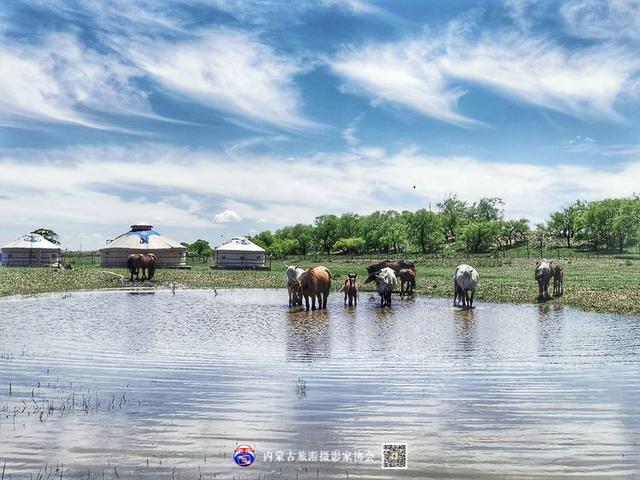 飞珠溅玉的意思，浑善达克飞珠溅玉