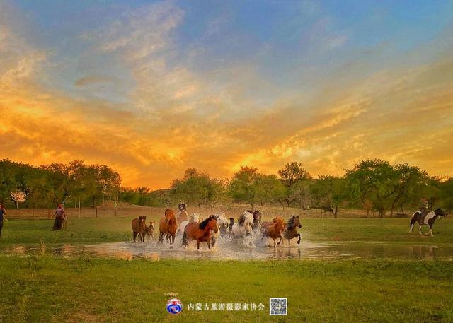 飞珠溅玉的意思，浑善达克飞珠溅玉