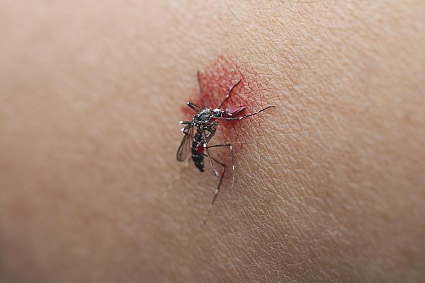 蚊子有什么好处，消灭蚊子的办法（这4类人才是蚊子的最爱）