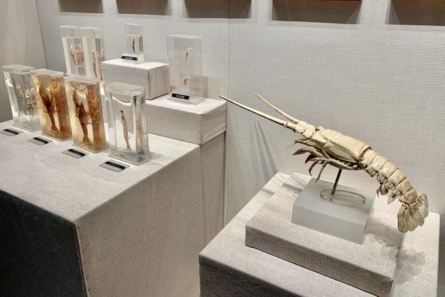 江苏小龙虾盱眙怎么读，小龙虾之乡盱眙（认识盱眙，从十三香小龙虾说起）