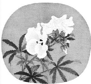 带门和花的成语，有花和门的成语有哪些（节令花信的诗意生活）