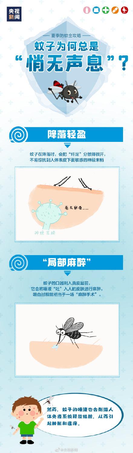 蚊子咬人的原理，爱招蚊子咬说明身体虚还是强（为什么被蚊子咬的总是你）