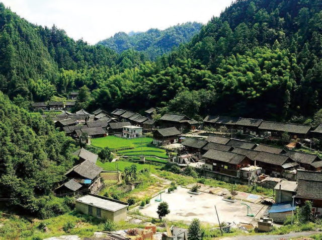 仚怎么读，岔怎么读什么意思（地名词“洞”及其运用）