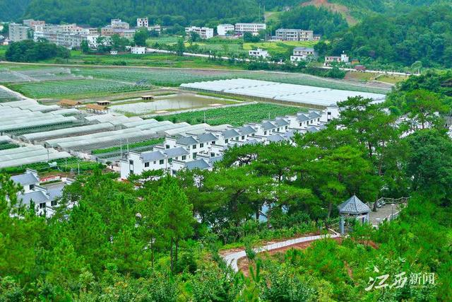 长江的第二大支流——赣江，江西赣江技工学校官网（红色故都瑞金绿色变迁记）