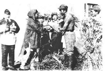 鲁迅艺术学院简称鲁艺是谁提名的，鲁迅艺术学院简称鲁艺是谁提名的出席校训（鲁艺精神闪耀东北）