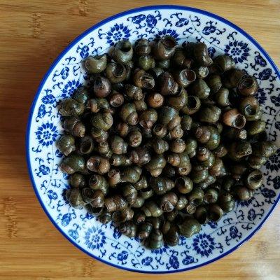 螺狮是什么，螺蛳是什么季节吃（成就招牌美味#酱香螺狮）