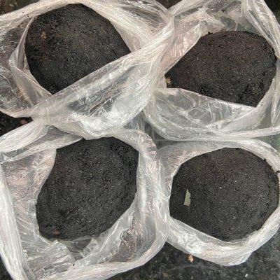 孕妇可以吃咸蛋黄吗，哪些人不适宜吃咸蛋黄（最好吃的自制咸蛋黄叉烧做法）