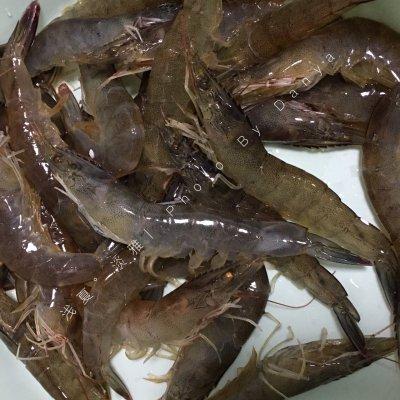 明虾的做法，冰冻明虾的做法（成就招牌美味#豆瓣酱炒明虾）
