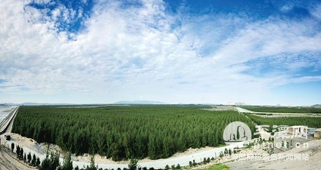 海岸围垦造地越多越好吗，海岸围垦造地越多越好吗对吗（平潭向海要地创造围垦奇迹）