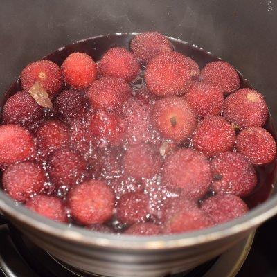 杨梅蜜饯怎么做（自制杨梅干—还原儿时味道做的对）