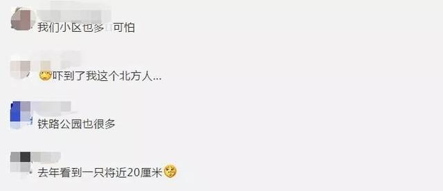 蜗牛粘液有毒吗，蜗牛是益虫还是害虫（雨后出现的这种东西千万别碰）