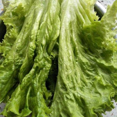 生菜蘸甜面酱如何做，成就招牌美味#时蔬蘸酱菜--葱伴侣系列