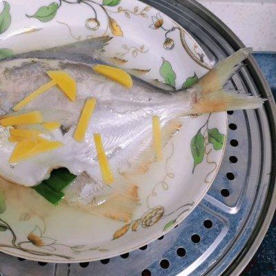 清蒸骨鱼的做法和配方，清蒸骨鱼的做法和配方视频（超满足的清蒸鲳鱼）