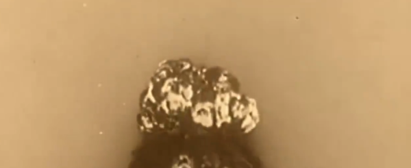 微电影在场观后感，微电影如果观后感500字（小学课本上的《丰碑》拍成微电影）