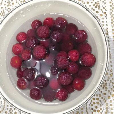 杨梅酒的酿制方法，杨梅酒的酿制方法（把全家人征服的自制杨梅酒）