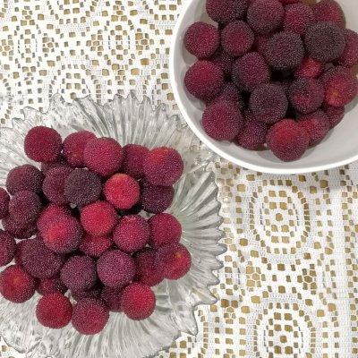 杨梅酒的酿制方法，杨梅酒的酿制方法（把全家人征服的自制杨梅酒）