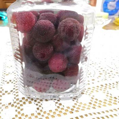 杨梅酒的酿制方法，杨梅酒的酿制方法（把全家人征服的自制杨梅酒）