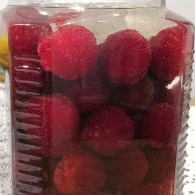 杨梅酒的酿制方法，杨梅酒的酿制方法（把全家人征服的自制杨梅酒）