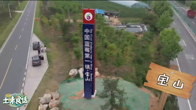 蓝莓哪里产的最好，蓝莓产地排行榜（山东宝山——中国蓝莓第一镇）