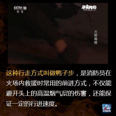 火灾自救方法，所乘汽车发生火灾自救方法（这份火灾自救指南请收好）