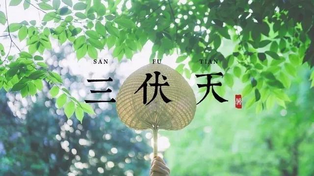 夏天什么时候开始，夏天什么时候开始热（2021三伏时间表来了）