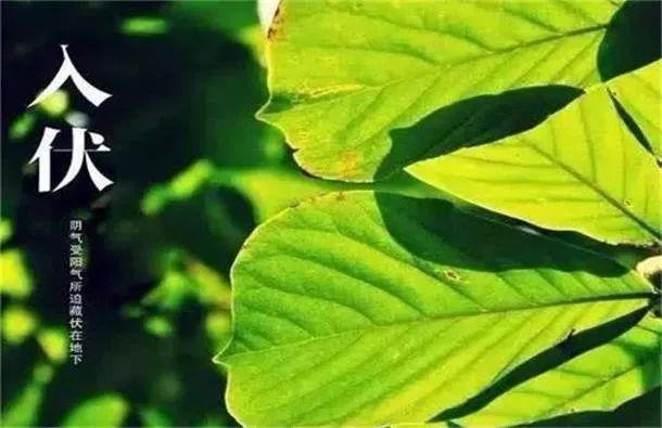 夏天什么时候开始，夏天什么时候开始热（2021三伏时间表来了）