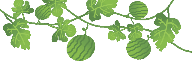 绿南瓜的功效与作用，女人千万不要吃南瓜（5种瓜营养成分“顶呱呱”）