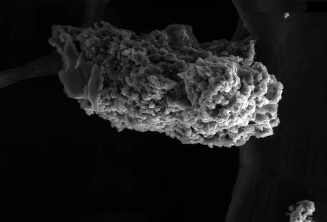 尘埃什么意思及解释，尘埃拼音怎么读（有多少宇宙尘埃落在地球上）