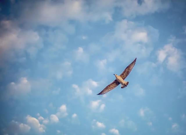 季夏是几月，诗经十二个月的雅称（倏忽温风至，因循小暑来）