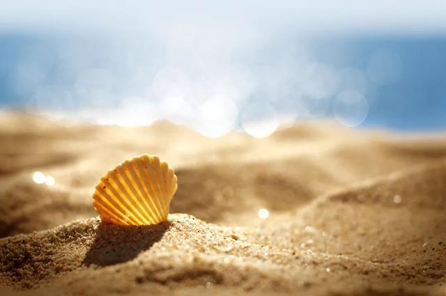 季夏是几月，诗经十二个月的雅称（倏忽温风至，因循小暑来）