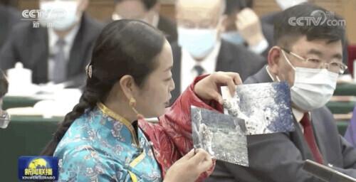 易危物种是什么意思，易危物种是保护动物吗（为这个“降级”，点赞→）