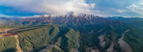 易危物种是什么意思，易危物种是保护动物吗（为这个“降级”，点赞→）