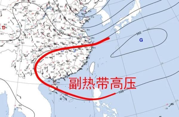 8月有多少天，9月有多少天（烤、焖、煎、焗……你选哪样）