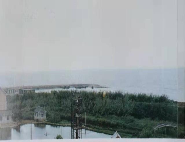 什么是桁架拱桥，桁架桥属于梁桥吗（金山这座有名的大桥）