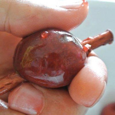 樱桃去核机，樱桃去核机器使用寿命（十分钟就可以开吃的快乐）