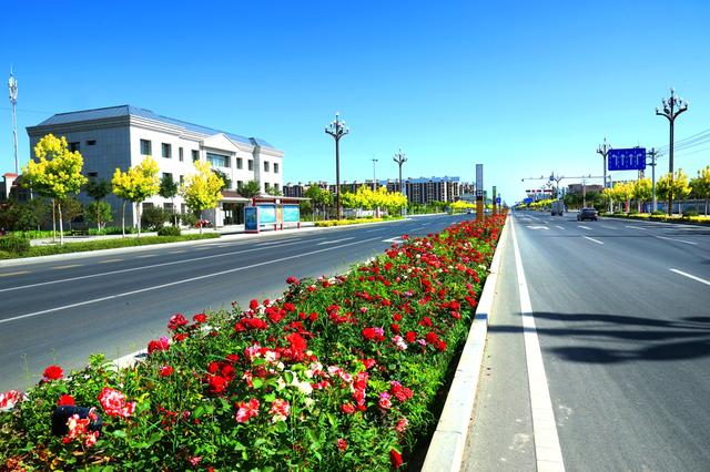 金塔县属于哪个市，甘肃省金塔县是哪个市（酒泉市金塔县：城市花园百花香）