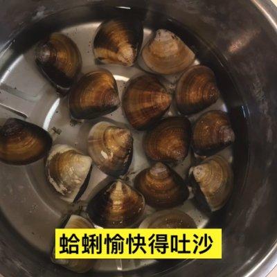 蛤蜊炖蛋简单做法，这道蛤蜊燉蛋太销魂