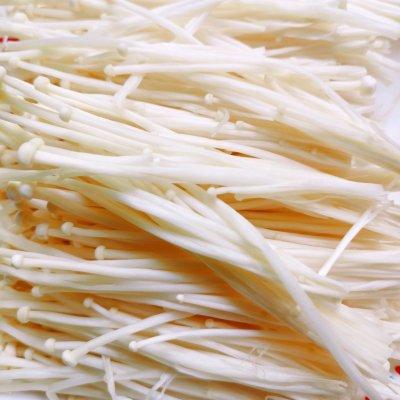 番茄龙利鱼的做法最正宗的做法，番茄龙利鱼的做法大全家常（低脂番茄龙利鱼#饕餮美味视觉盛宴#）