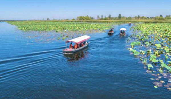 子牙河和子牙新河有什么区别（南水北调中线工程累计调水400亿立方米）
