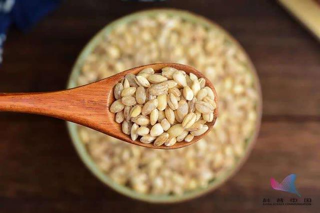 二米饭什么意思，熟二米饭是什么意思（哪种主食对人体最健康）