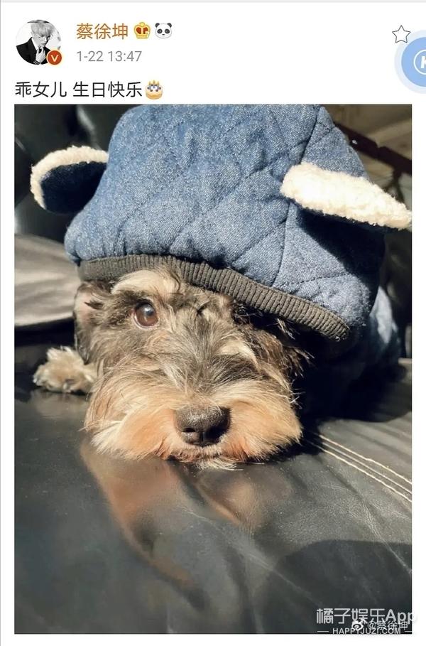 be like什么意思网络用语，belike是什么梗（这废寝忘食的状态不就是我吗）