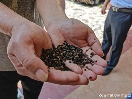 湿垃圾有哪些垃圾，湿垃圾有哪些垃圾分类详细（专吃垃圾的微生物）