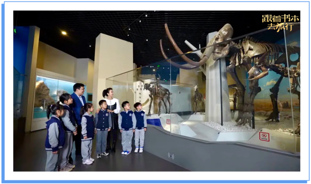 飞向蓝天的恐龙主要内容，飞向蓝天的恐龙主要内容介绍（暑假一起跟着书本去旅行）