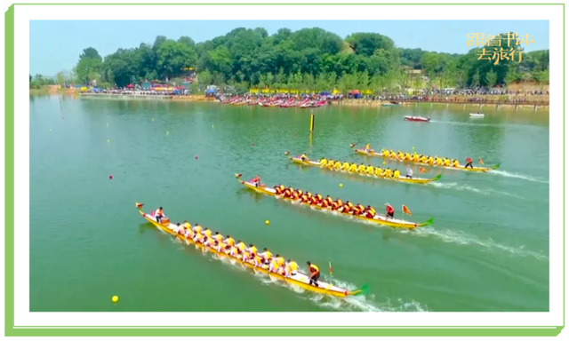 飞向蓝天的恐龙主要内容，飞向蓝天的恐龙主要内容介绍（暑假一起跟着书本去旅行）