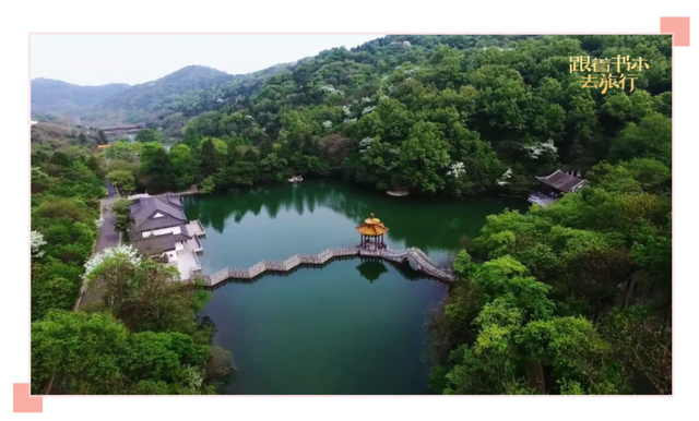 飞向蓝天的恐龙主要内容，飞向蓝天的恐龙主要内容介绍（暑假一起跟着书本去旅行）