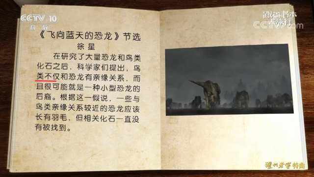 飞向蓝天的恐龙主要内容，飞向蓝天的恐龙主要内容介绍（暑假一起跟着书本去旅行）