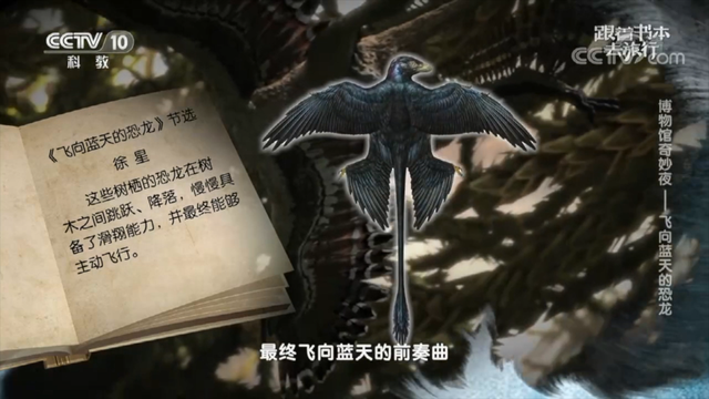 飞向蓝天的恐龙主要内容，飞向蓝天的恐龙主要内容介绍（暑假一起跟着书本去旅行）