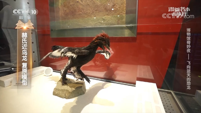 飞向蓝天的恐龙主要内容，飞向蓝天的恐龙主要内容介绍（暑假一起跟着书本去旅行）