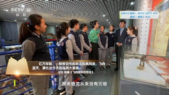 飞向蓝天的恐龙主要内容，飞向蓝天的恐龙主要内容介绍（暑假一起跟着书本去旅行）