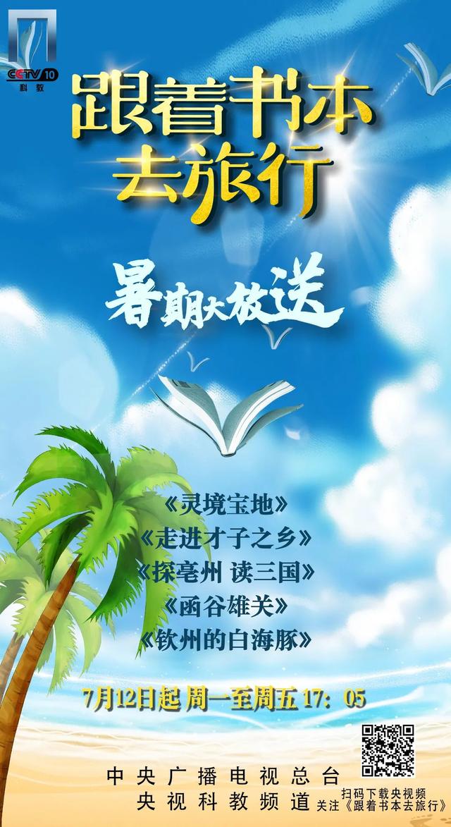 飞向蓝天的恐龙主要内容，飞向蓝天的恐龙主要内容介绍（暑假一起跟着书本去旅行）